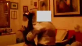 Zavodljiv kandidat v ...