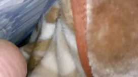 Tip je upoznao ljuba ...