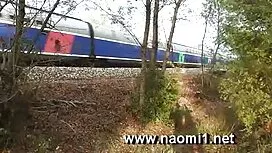 Strastvena kuja pozv ...
