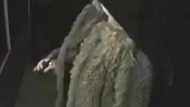 Čovjek jebe sve rupe ...